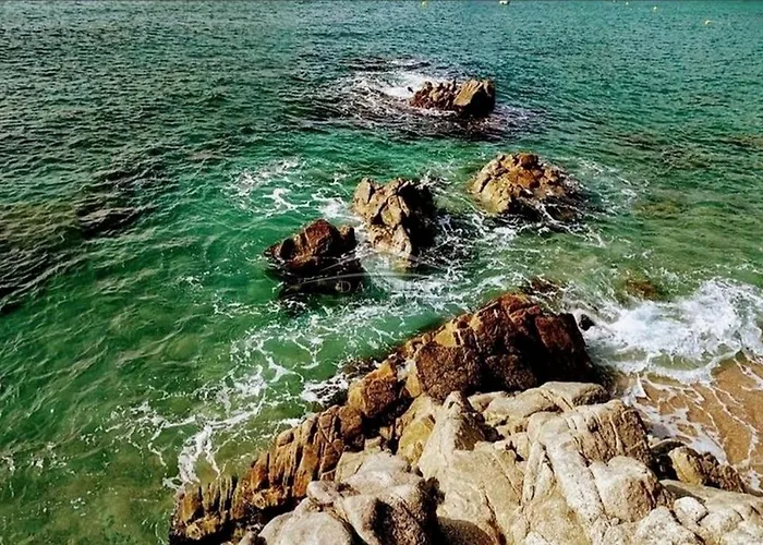 Yuta By Danlux Invest 펜션 또사데마르