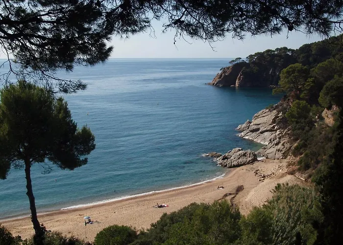 Yuta By Danlux Invest